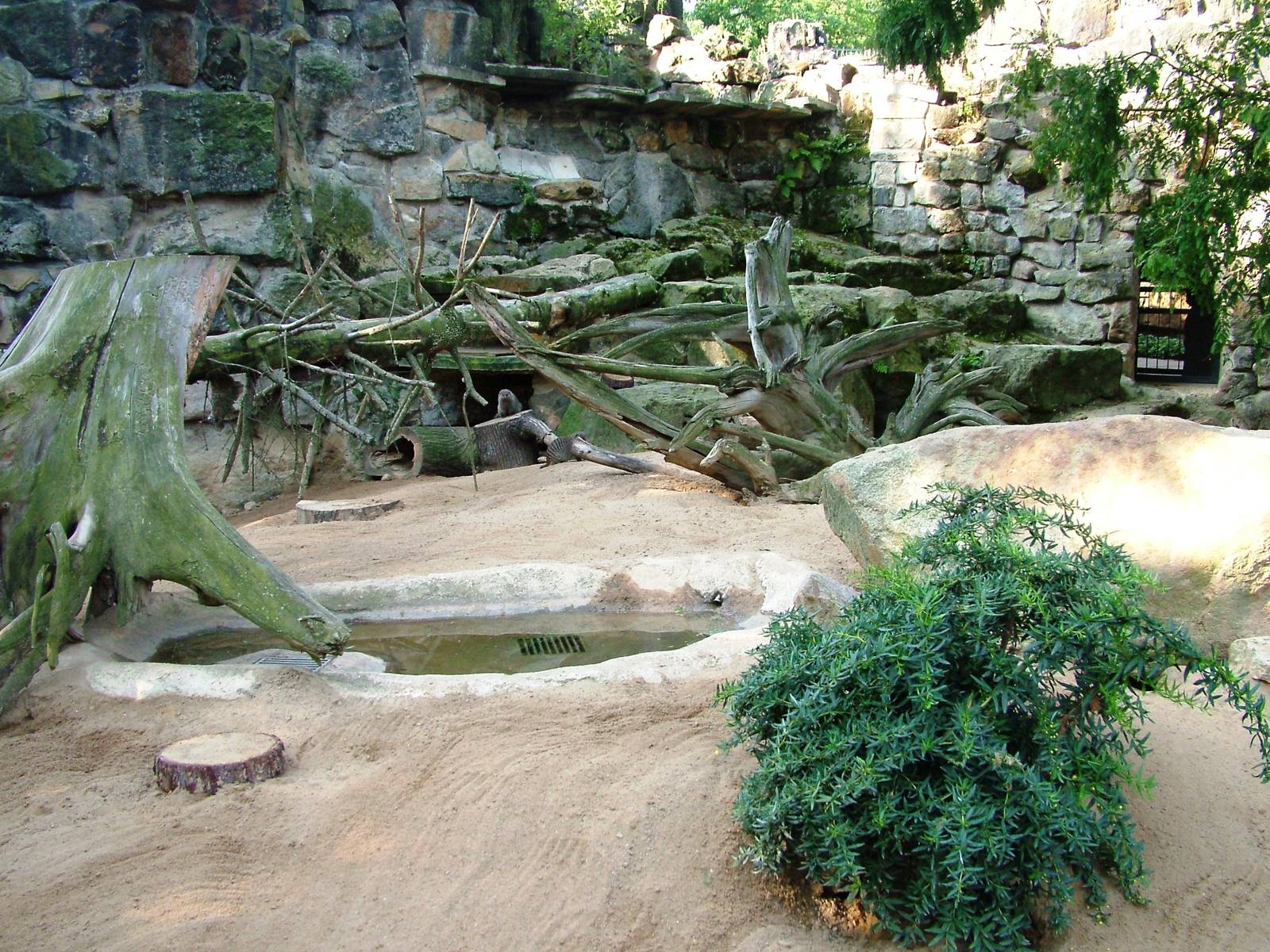 Mongoose Exhibit at Dresden, 29/08/12