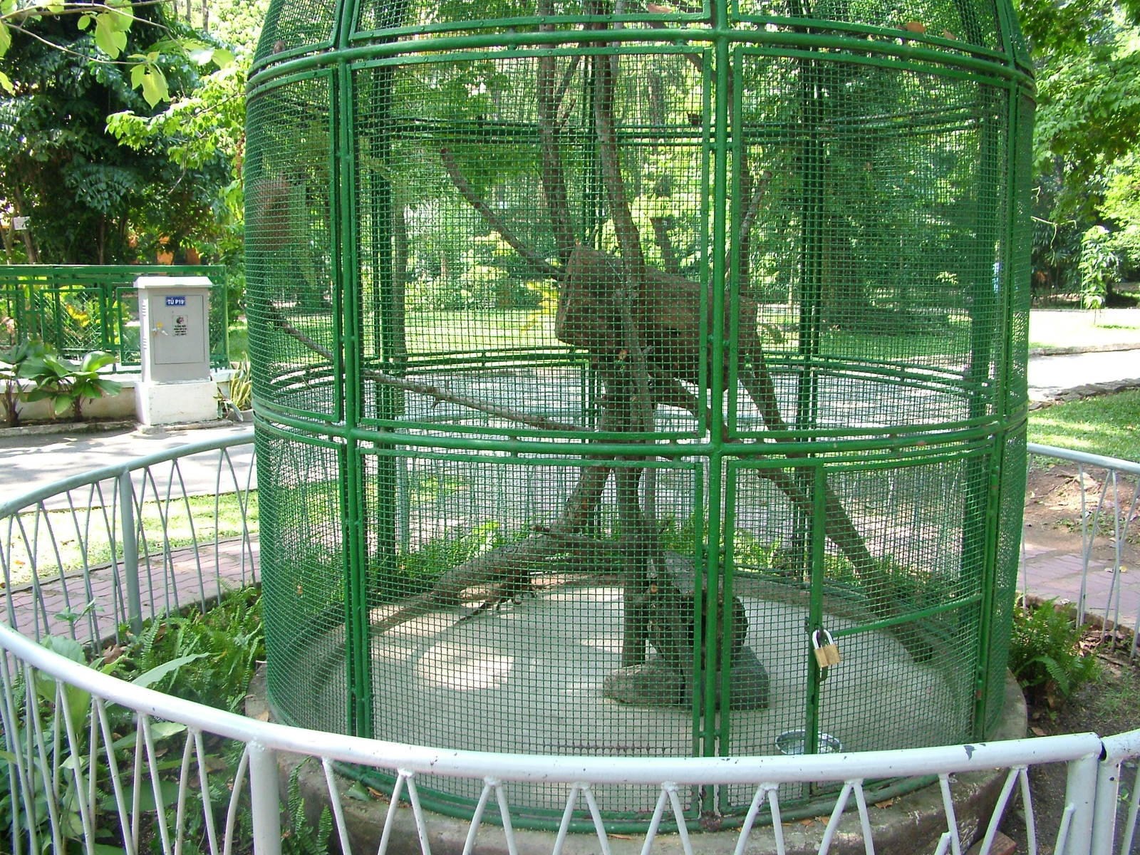 Mongoose Exhibit at Saigon Zoo, 16/03/12