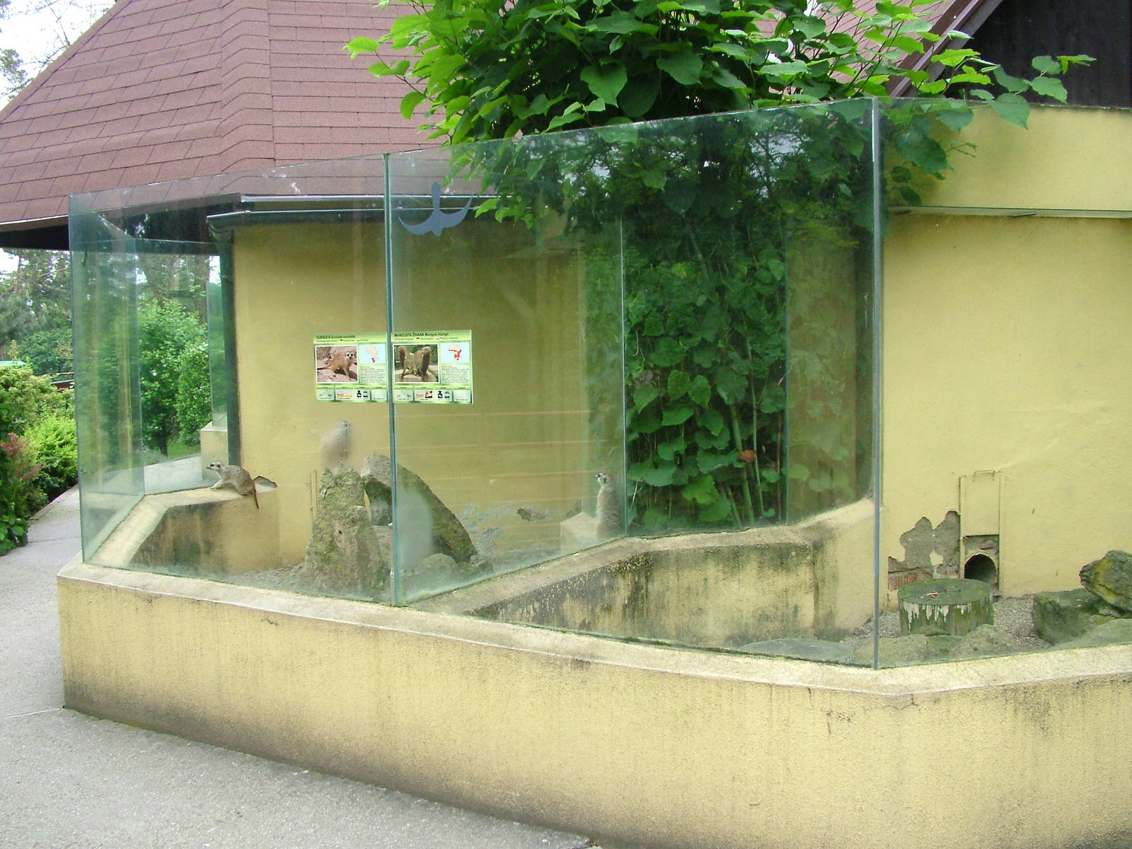 Mongoose exhibits at Olomouc 30/05/10