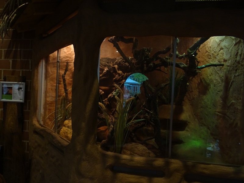 Mongoose house: ball python terrarium