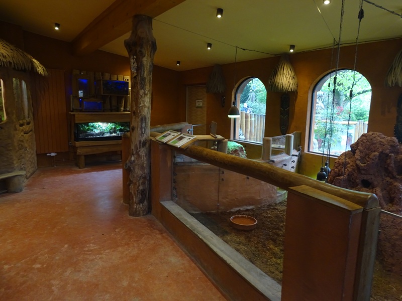 Mongoose house: indoor enclosure for dwarf mangoose and leopard tortoise