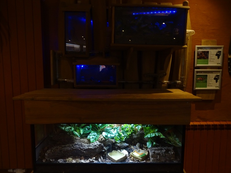 Mongoose house: invertabrate terraria