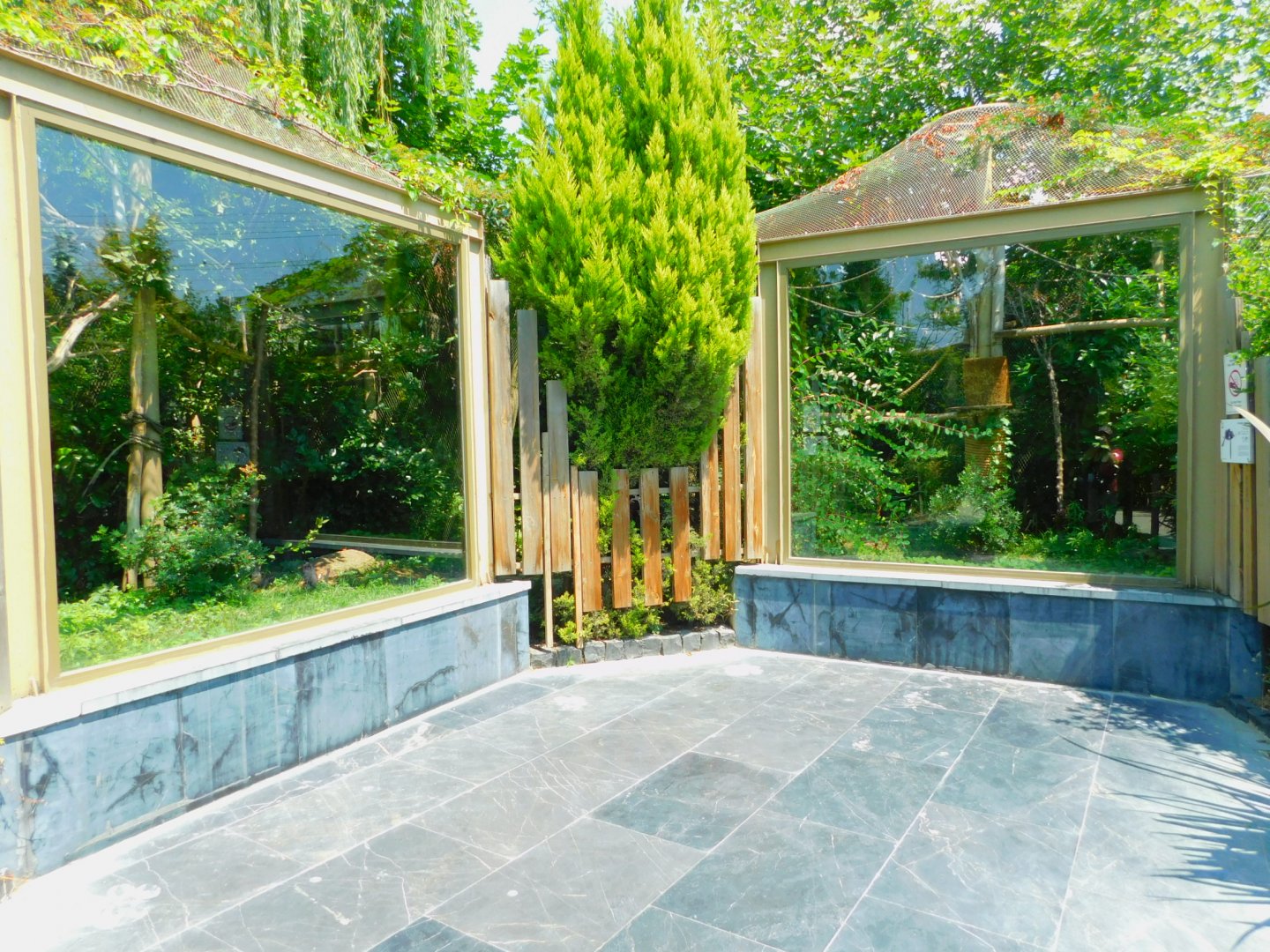 Mongoose lemur and red-handed tamarin outdoor display