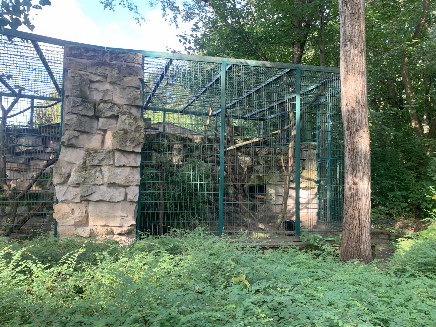 Mongoose Lemur enclosure (former Tamandua enclosure)
