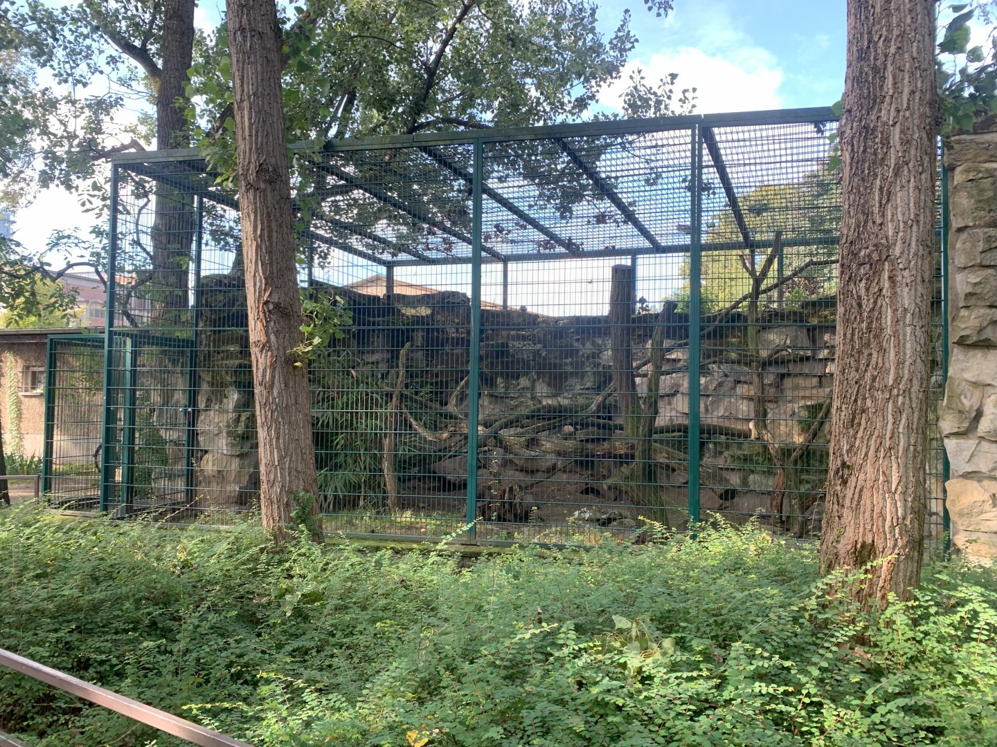 Mongoose Lemur enclosure (former Tamandua enclosure)