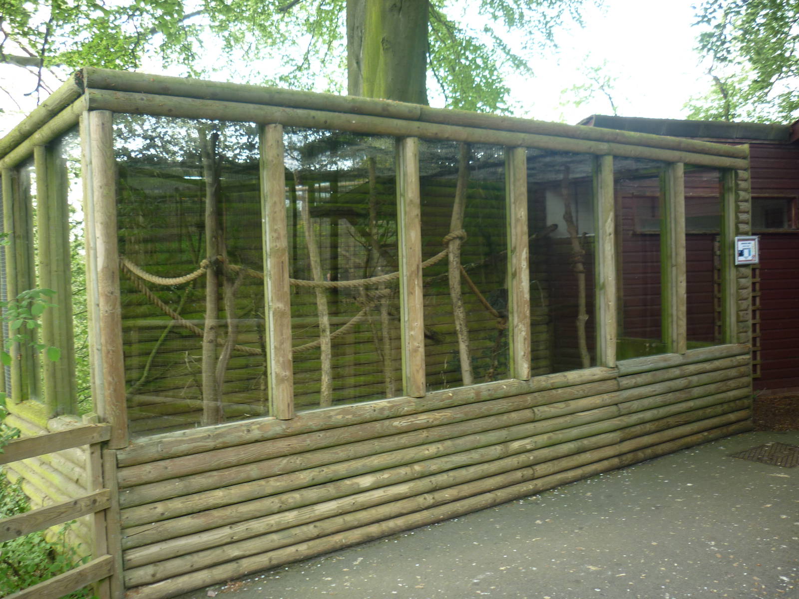 Mongoose Lemur enclosure