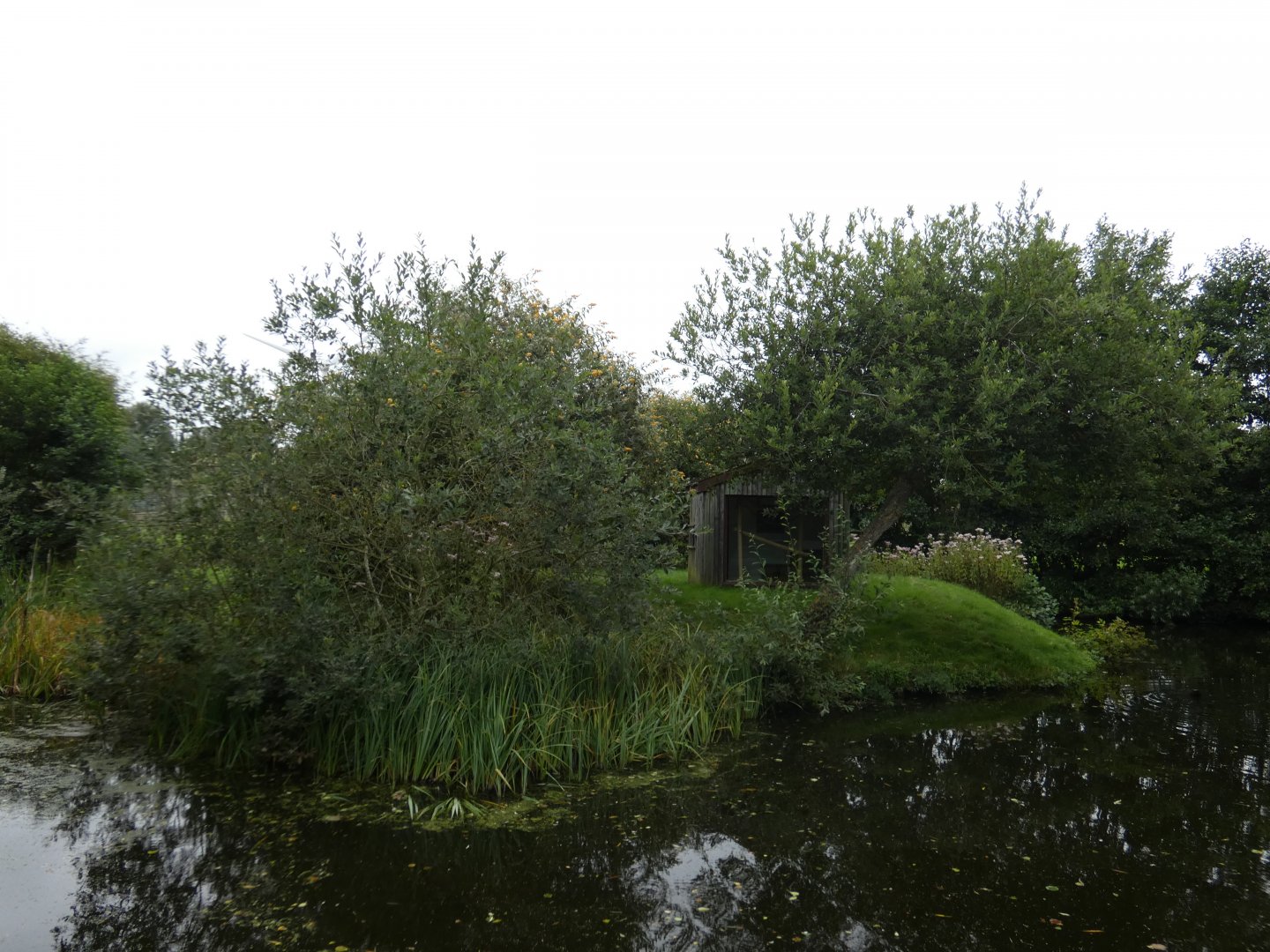 Mongoose lemur enclosure