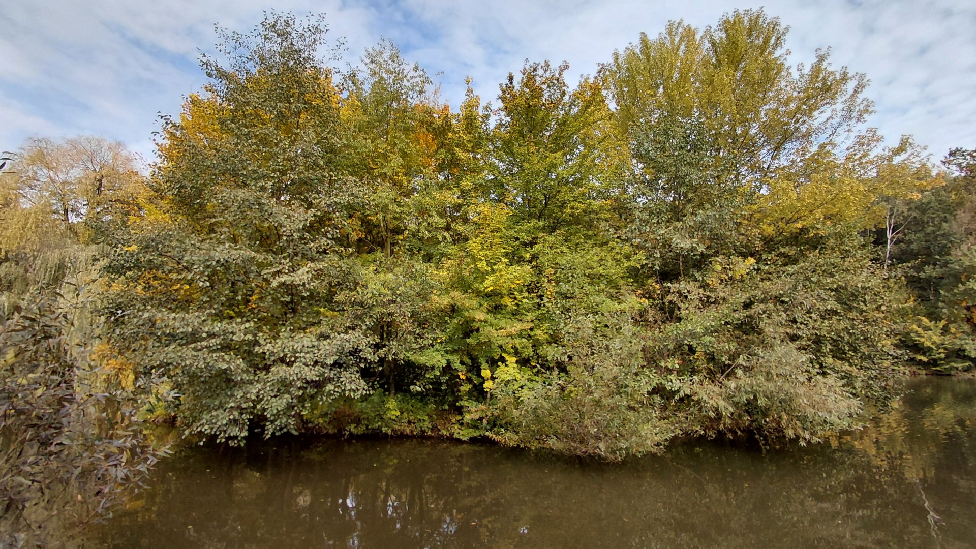 Mongoose lemur exhibit