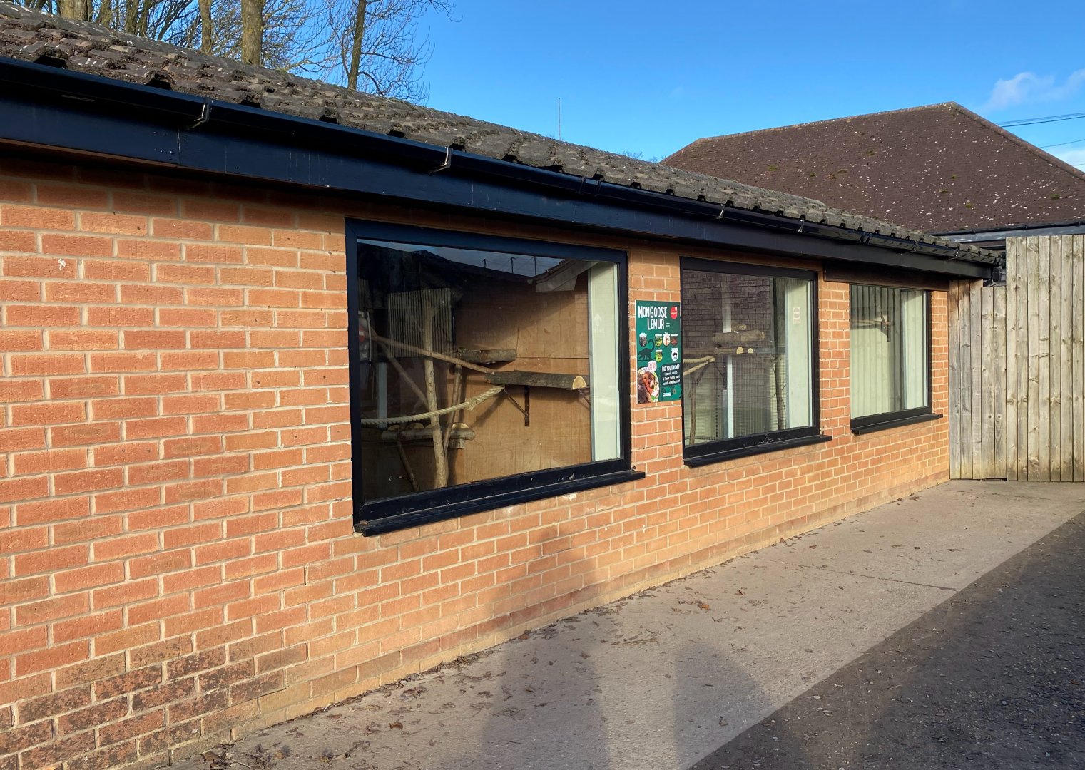 Mongoose Lemur indoor enclosure, Twycross, UK