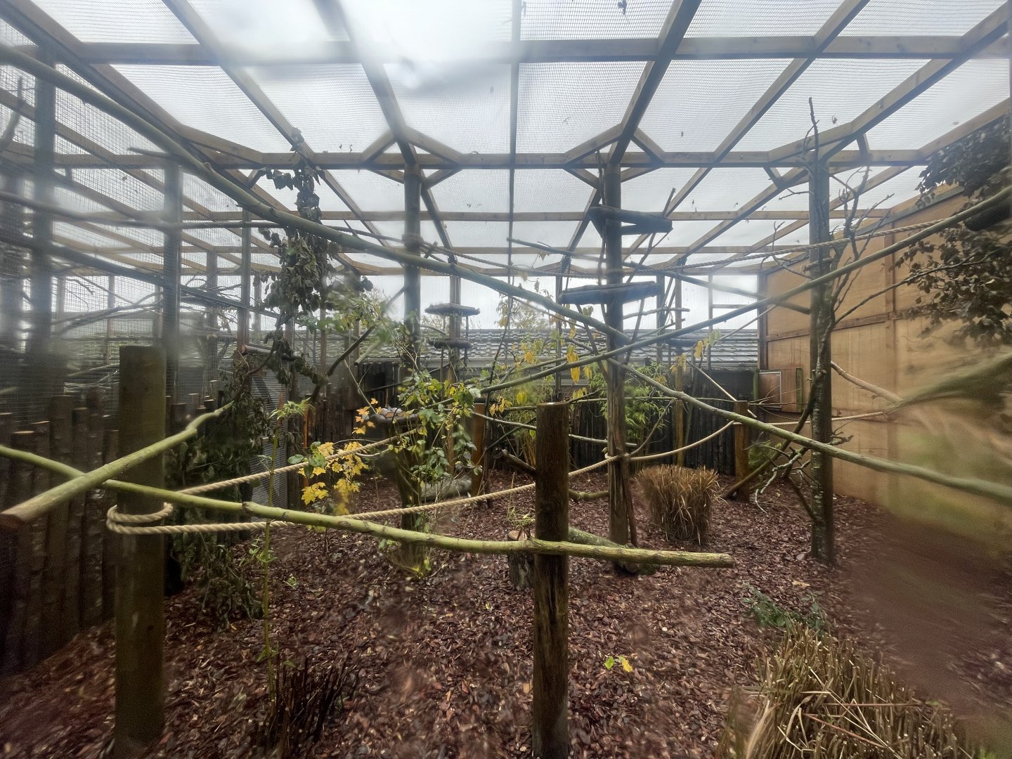 Mongoose Lemur Outdoor Enclosure