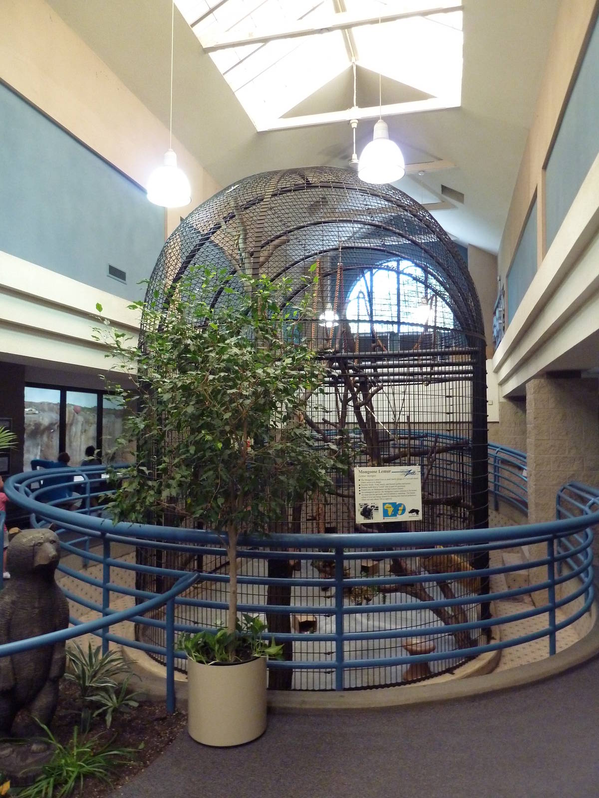 Mongoose Lemur/Ring-Tailed Lemur Exhibit