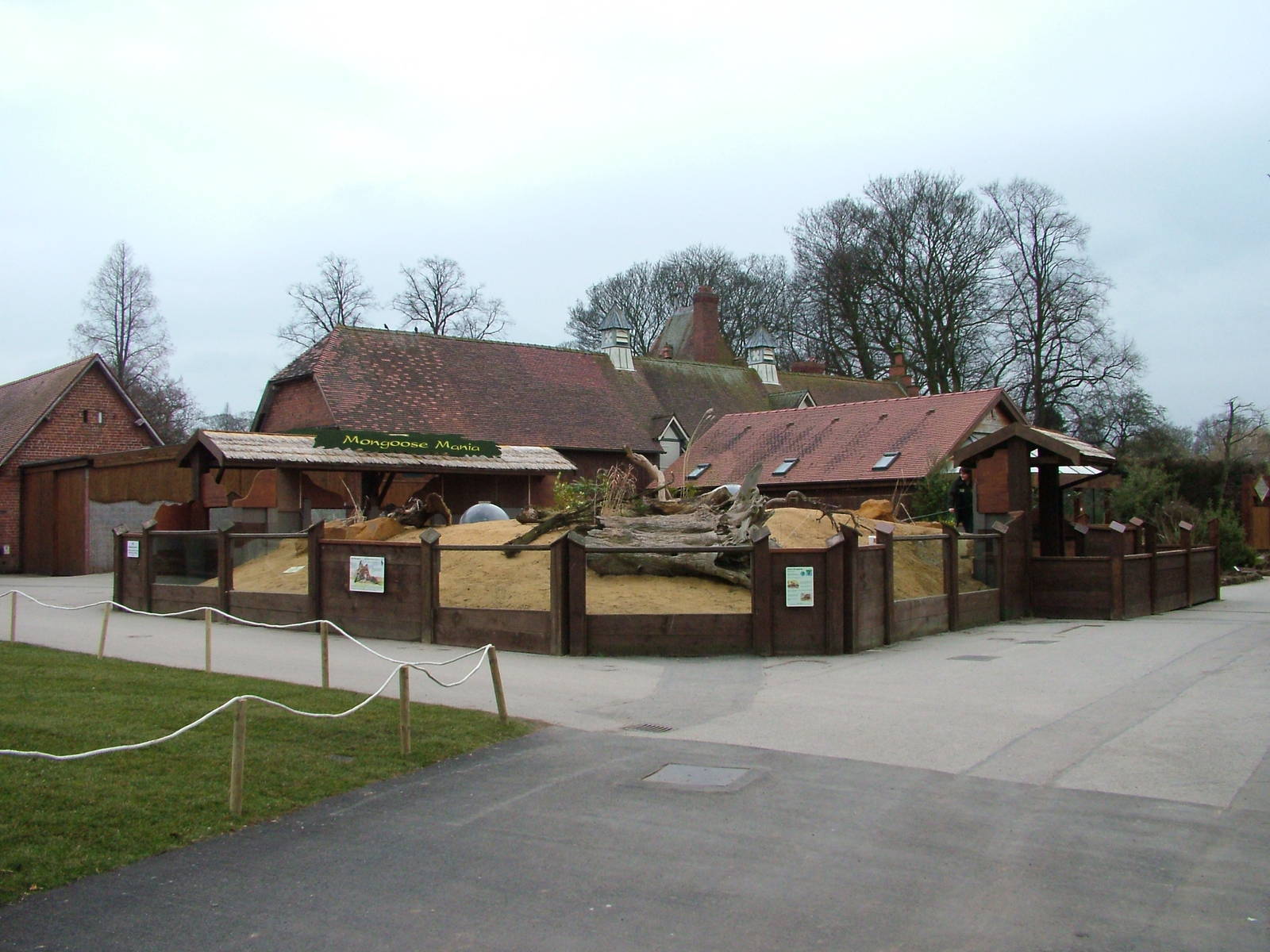 Mongoose Mania at Chester 06/03/10