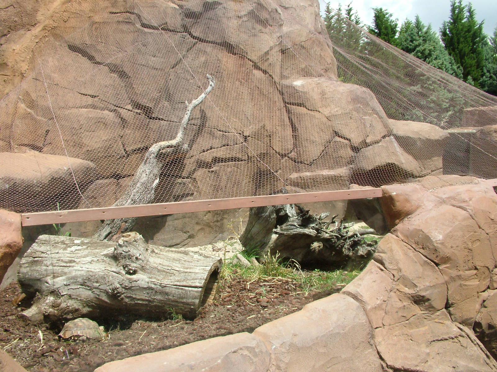 Mongoose/Tortoise Exhibit at Faunia, 27/05/11