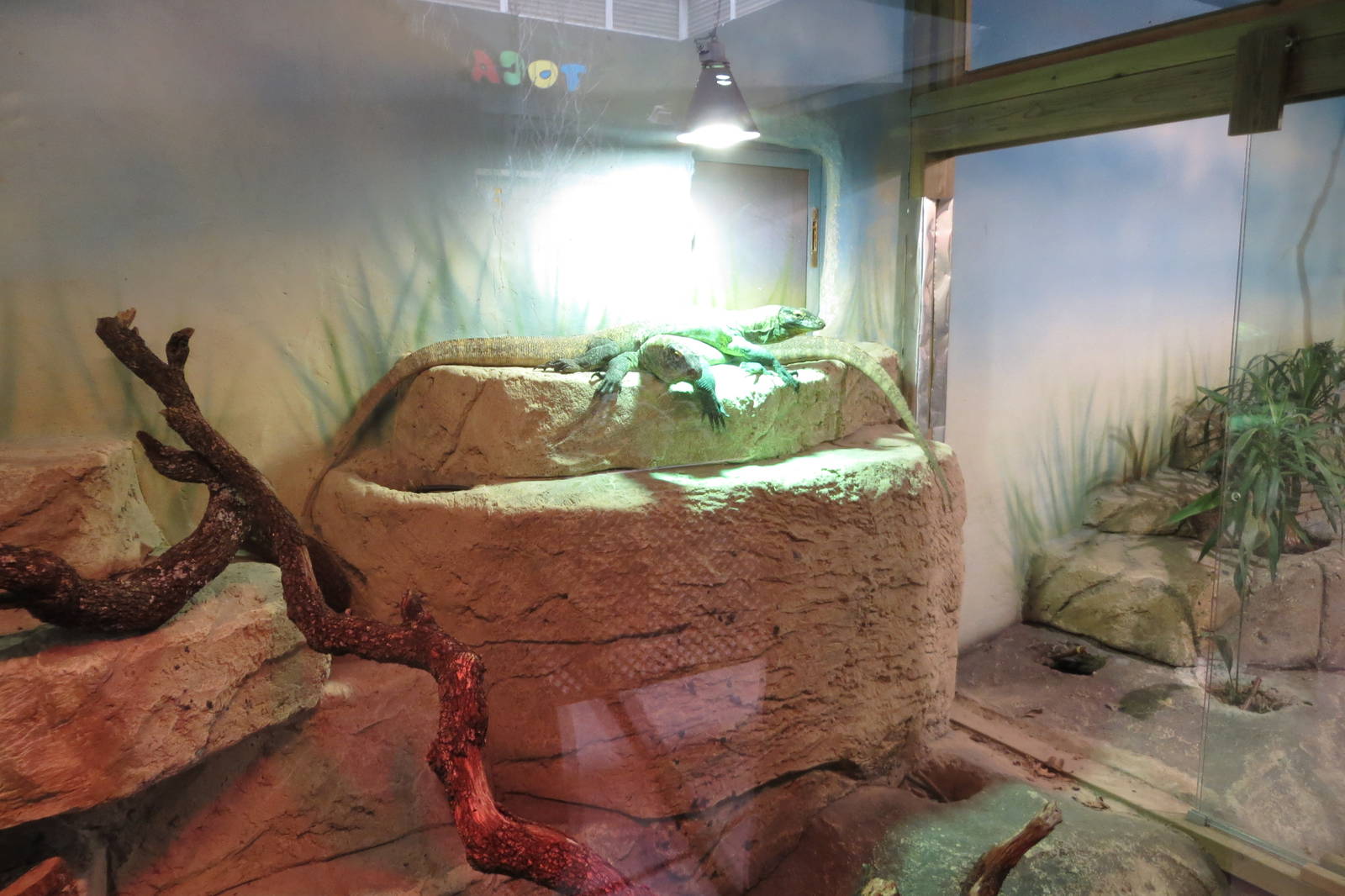 Monitor enclosure 140216