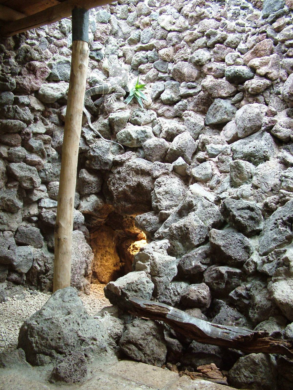 Monitor Exhibit at Amersfoort, 01/06/12