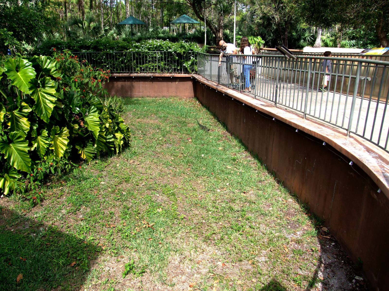 Monitor Exhibit at Miami, 12/10/13