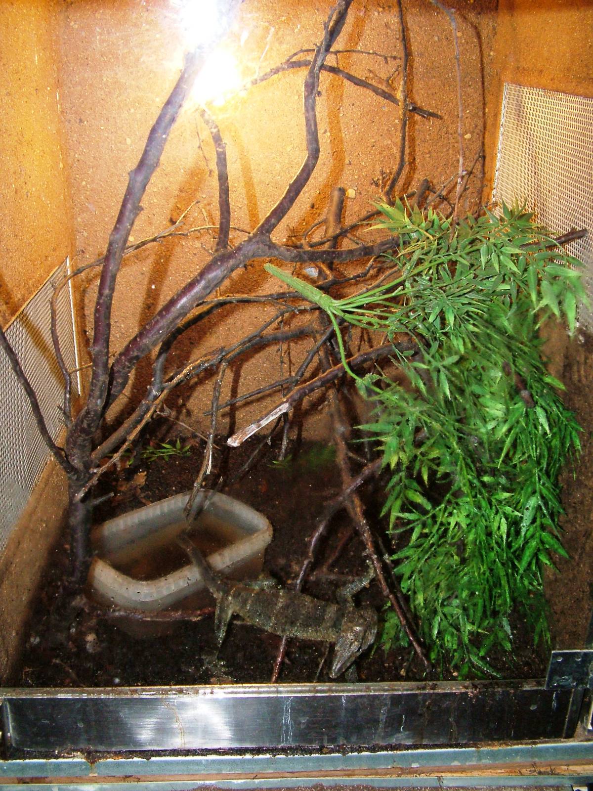 Monitor Exhibit at Prague Terrarium, 26/08/12