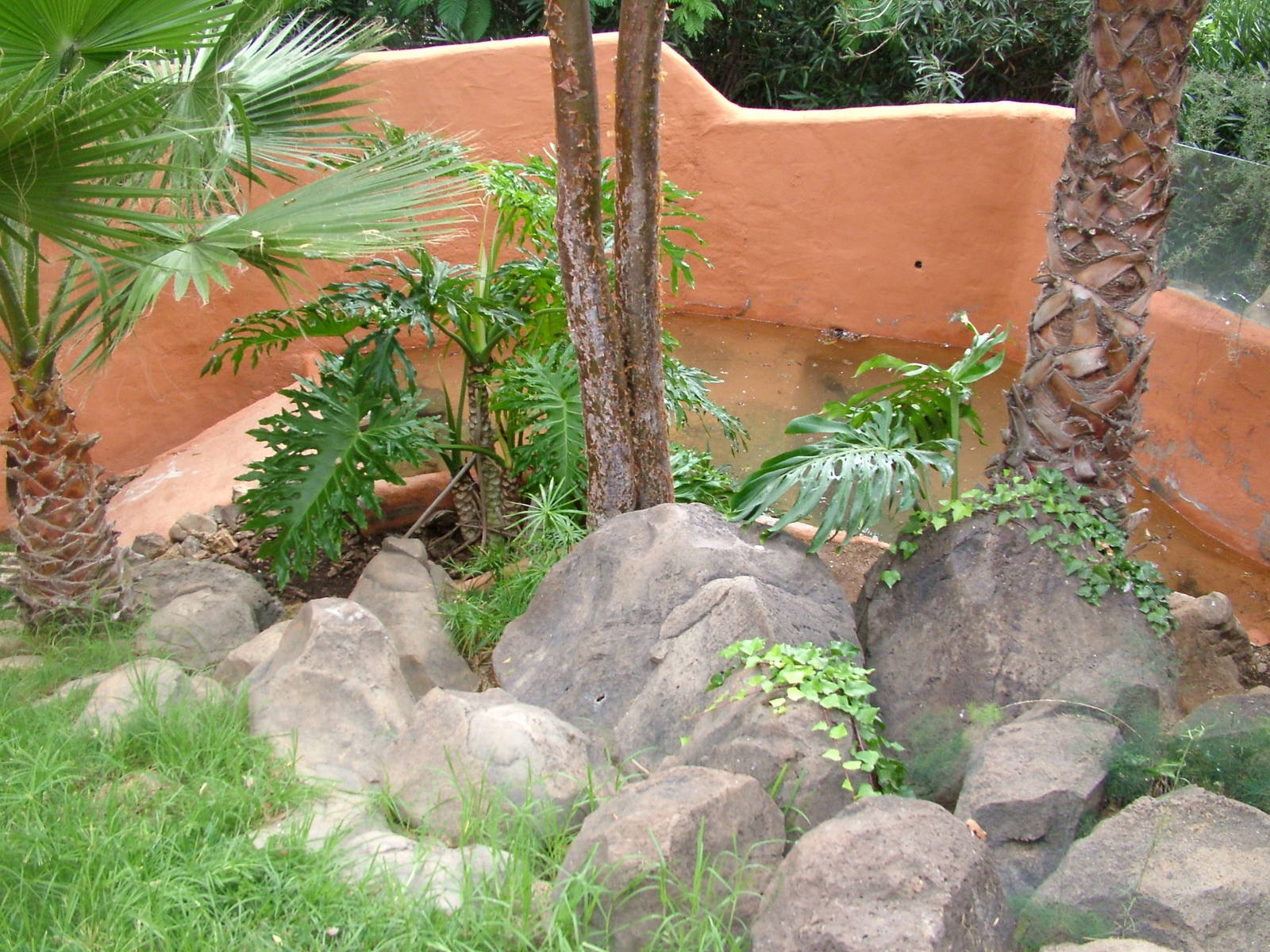 Monitor Lizard Exhibit at Jungle Park (Las Aguilas), 13/11/10