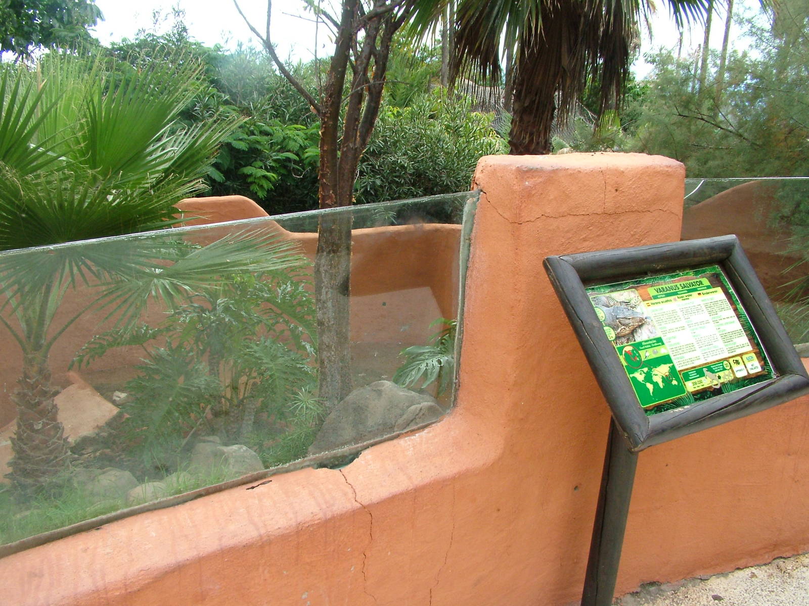 Monitor Lizard Exhibit at Jungle Park (Las Aguilas), 13/11/10