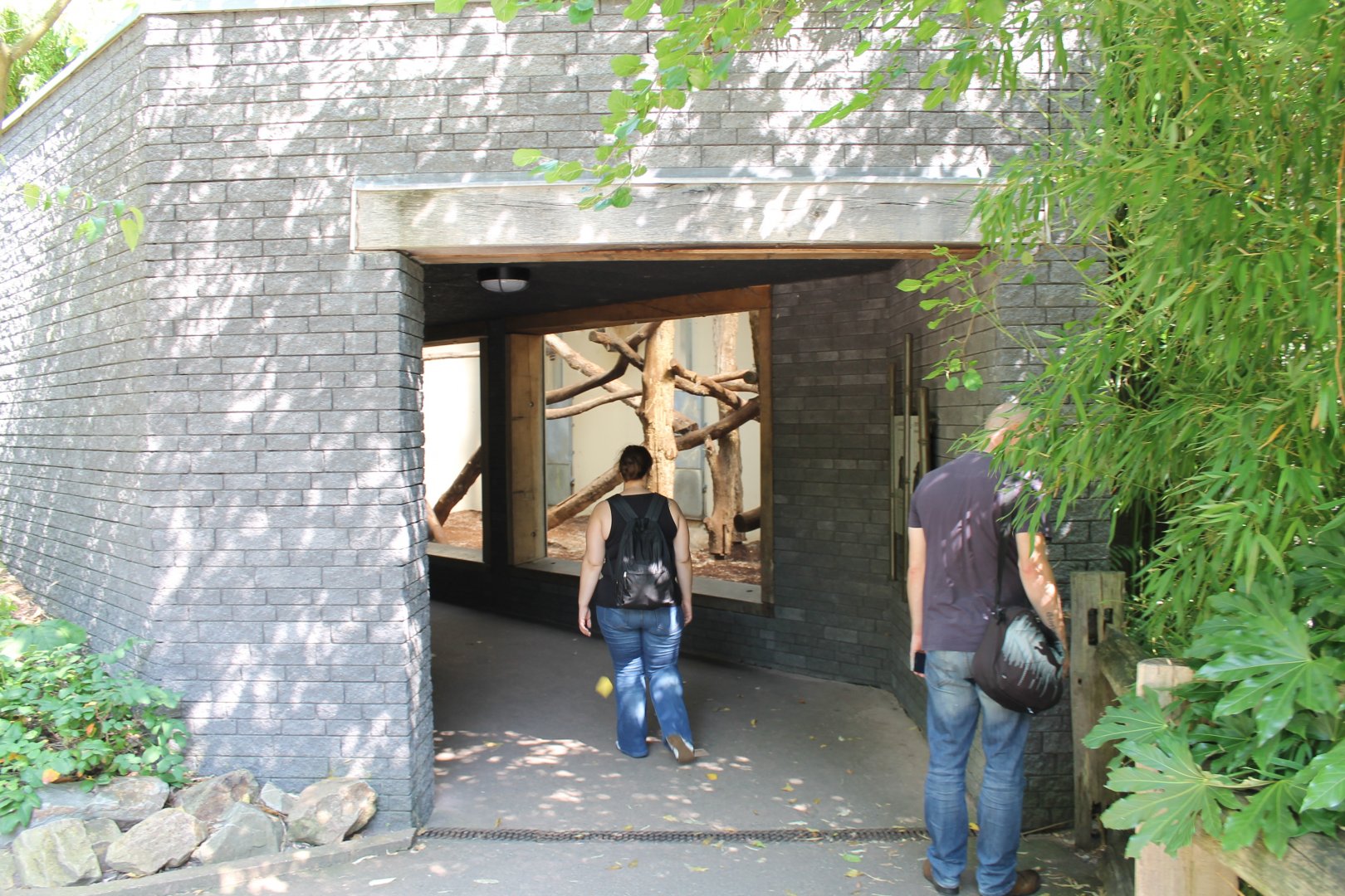 Monitor - Python House