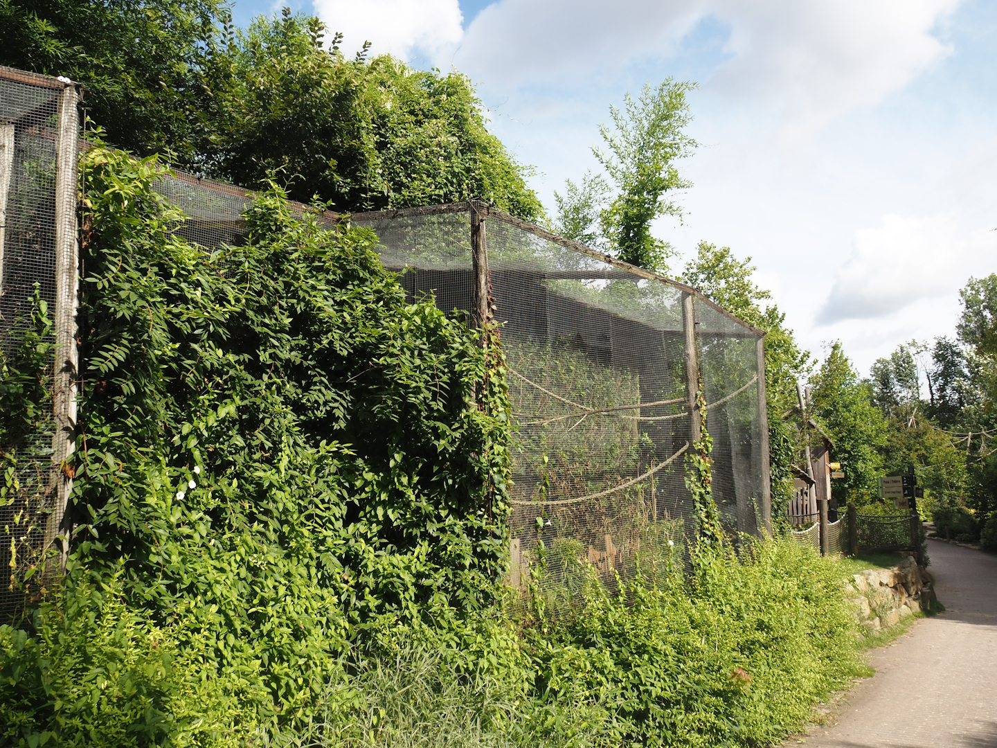 Monk parakeet aviary, 2024-08-21