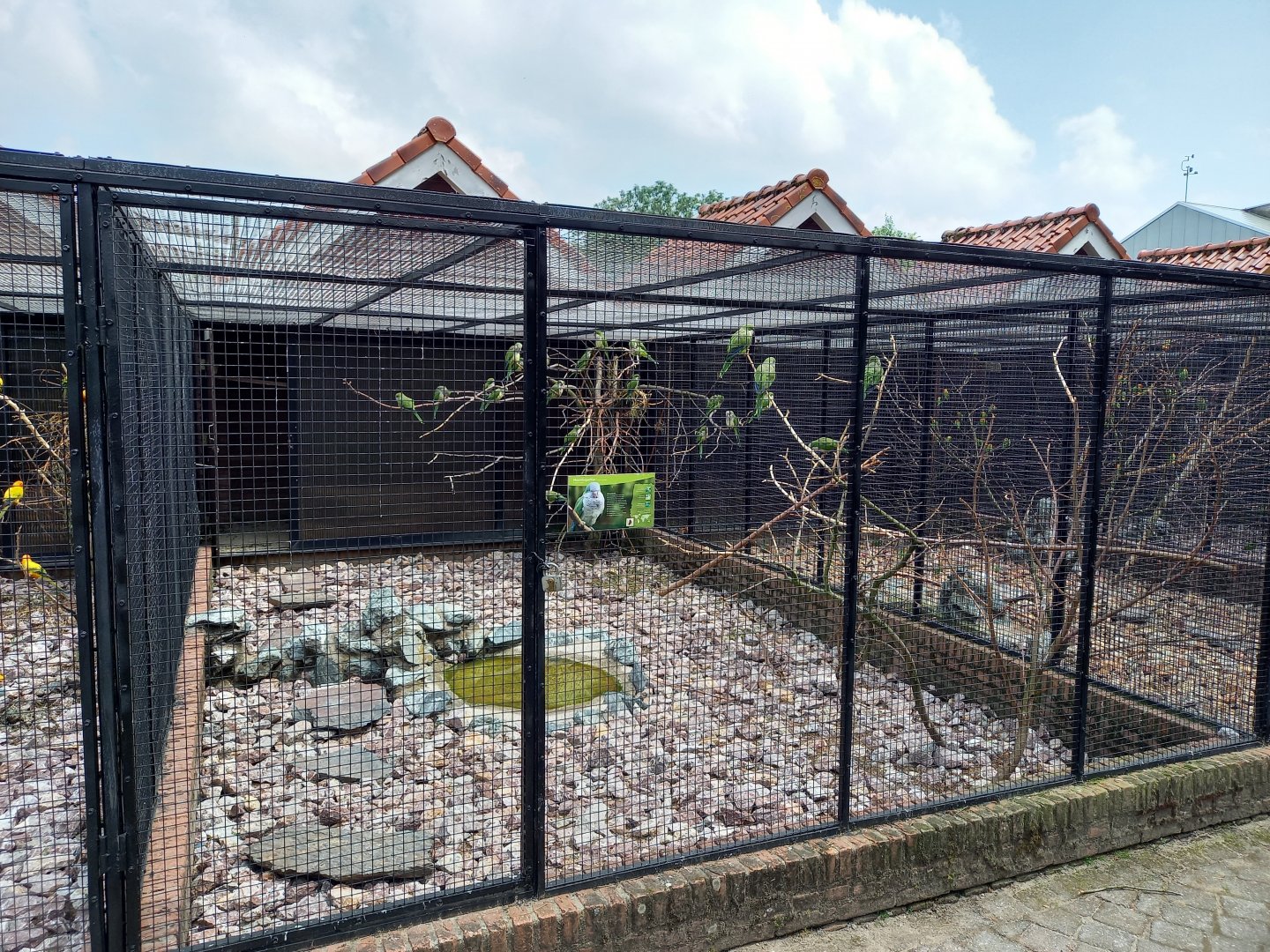 Monk parakeet aviary
