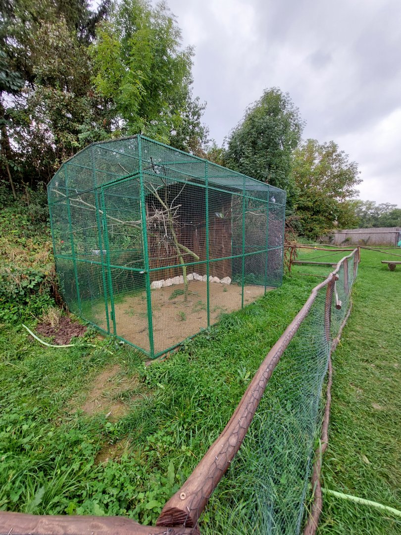 Monk parakeet aviary