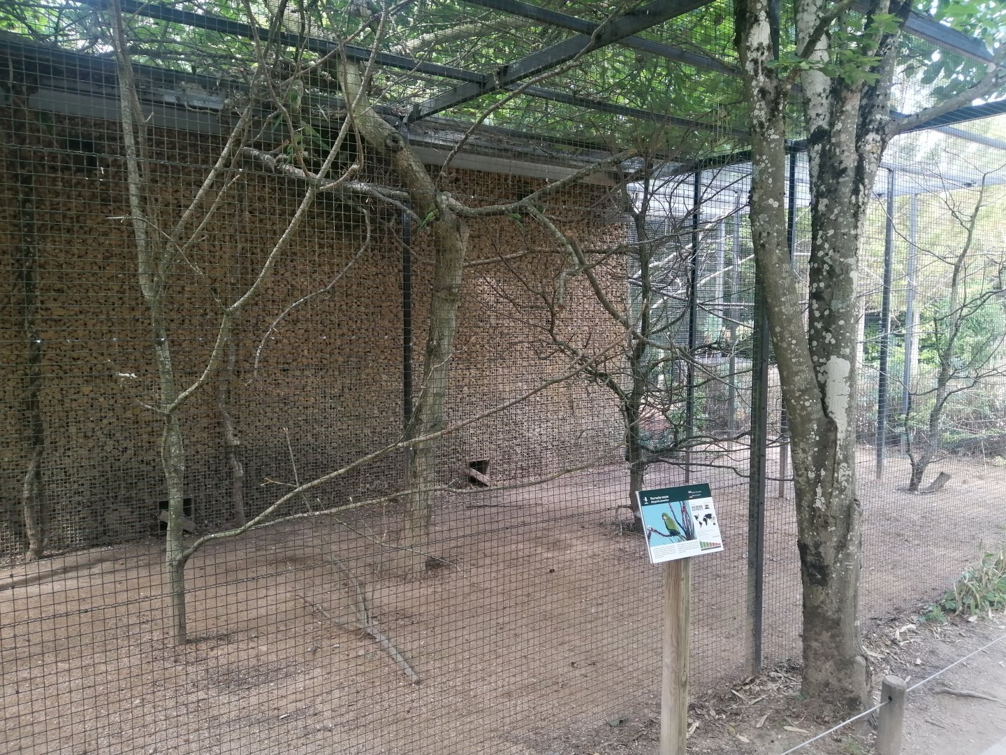 Monk Parakeet Aviary