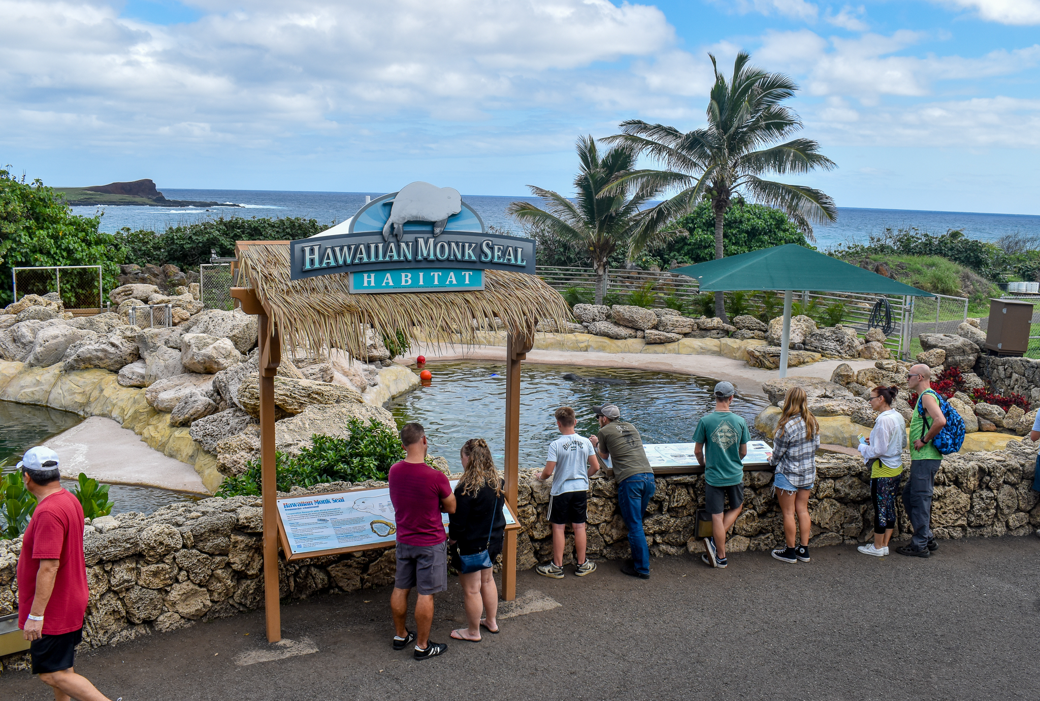 Monk Seal enclosure