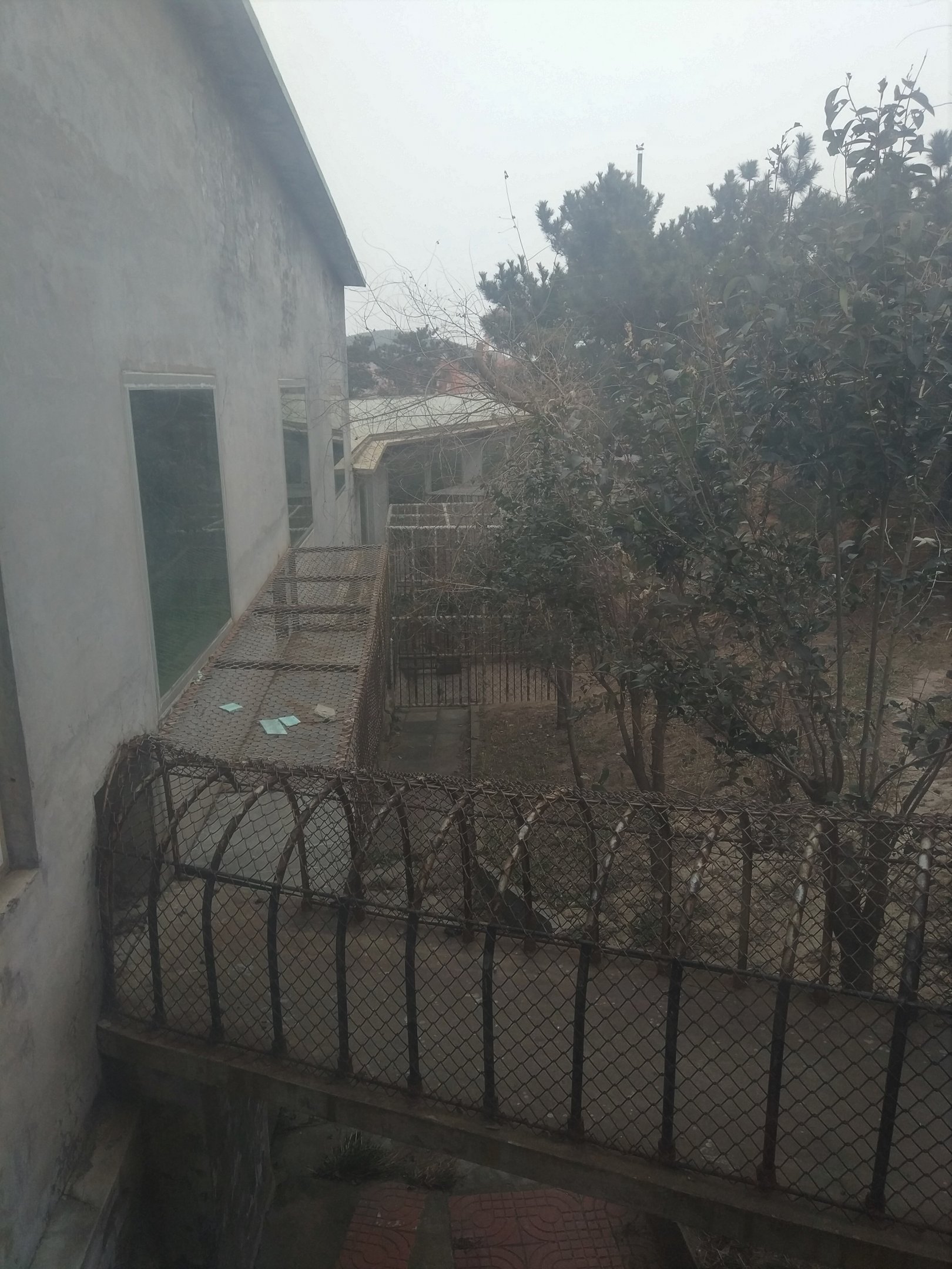 Monkey Access Chutes