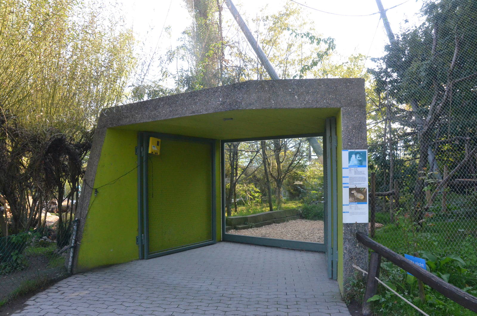 Monkey/Agouti Viewing at Knie Kinderzoo, 11/09/16
