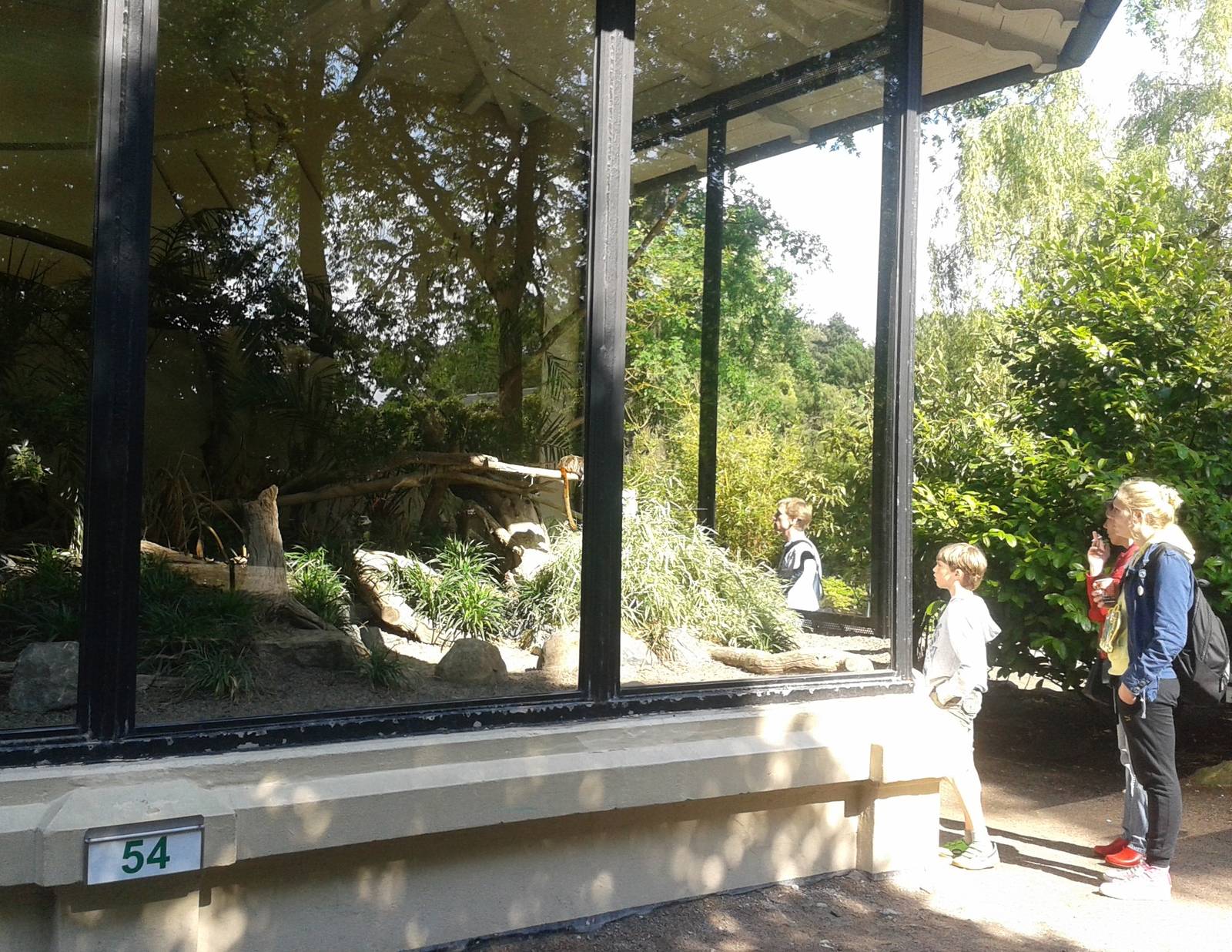 Monkey and bird enclosure