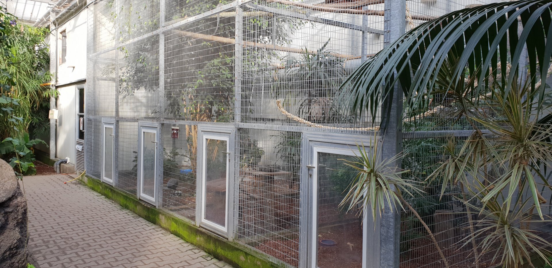 Monkey and bird enclosures