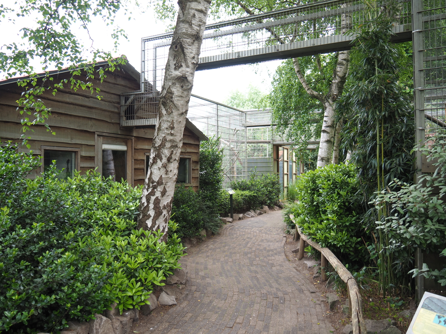 Monkey and cockatoo house and overhead mesh tunnels, 2019-05-25