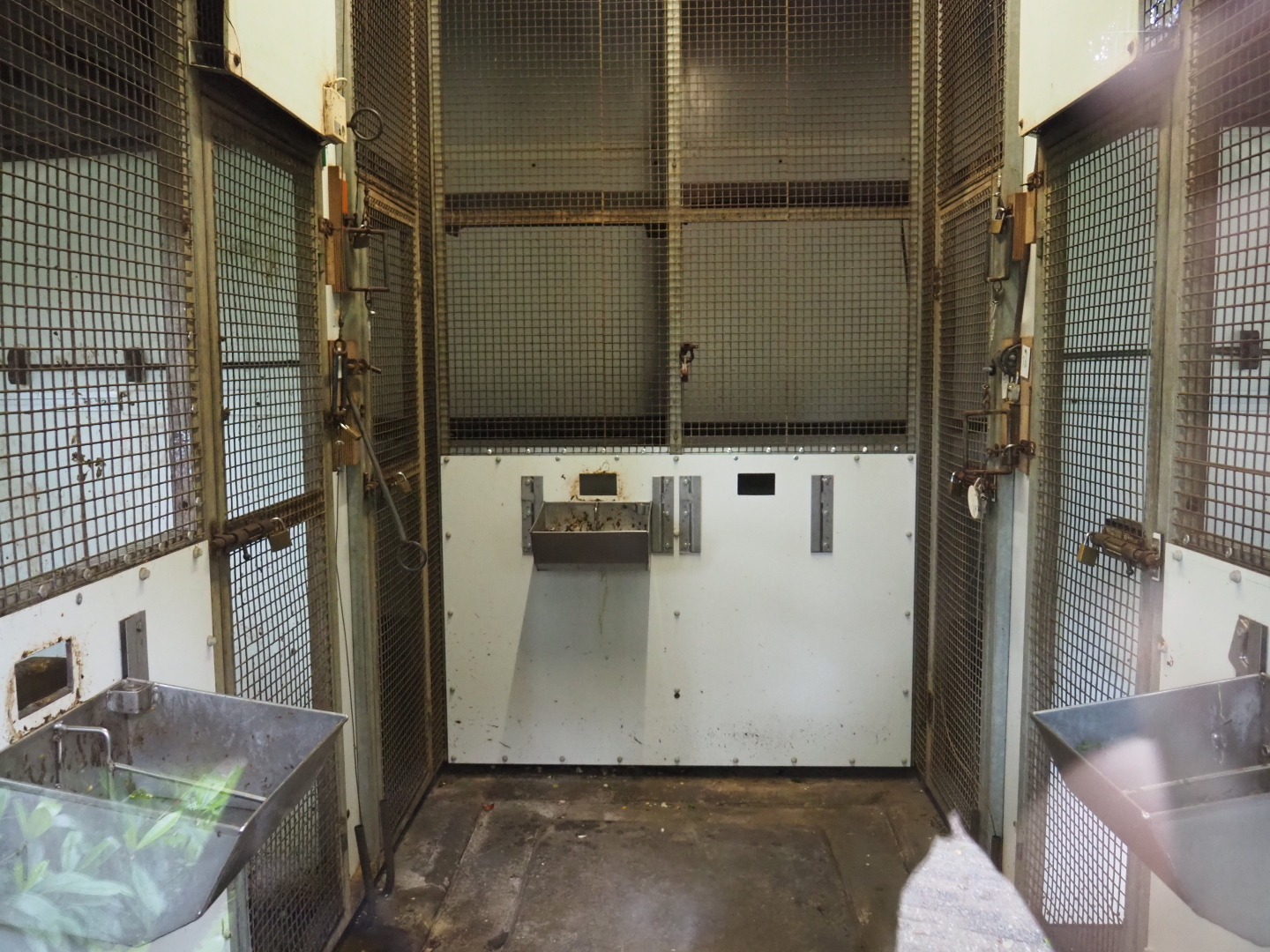 Monkey and cockatoo indoor housing, 2019-05-25