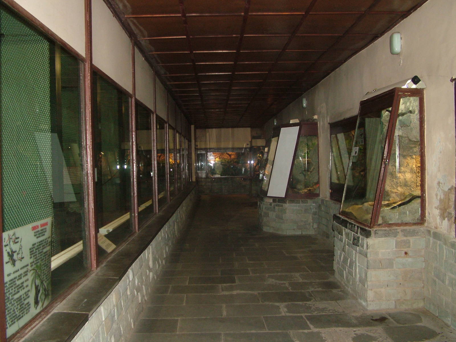 Monkey and Reptile House interior at the Old Zoo, Poznan Sept 08