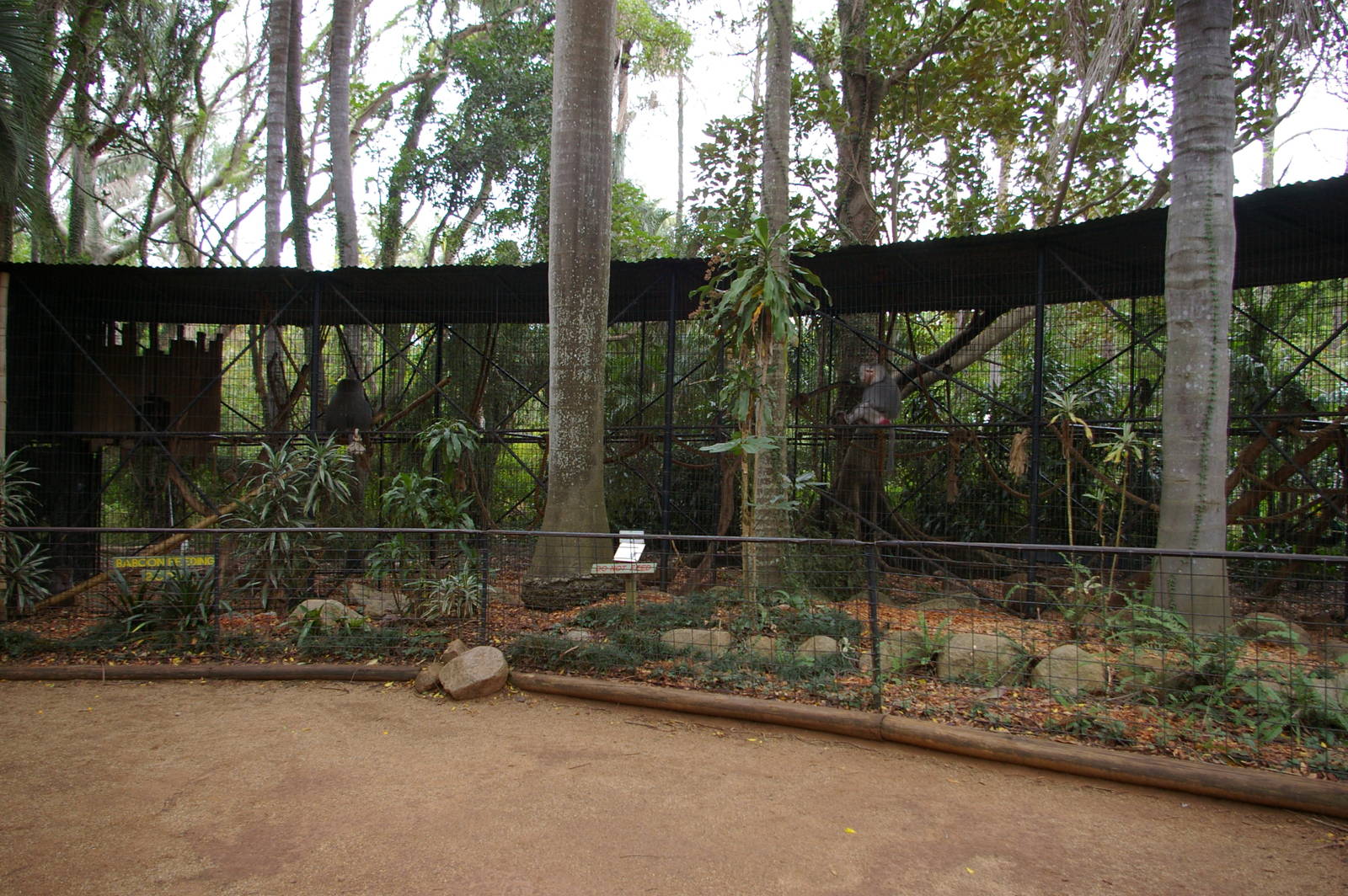 monkey cages, Alma Park Zoo