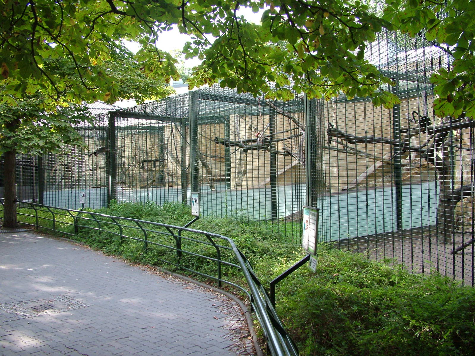 Monkey Cages at Berlin Zoo, 31/08/11