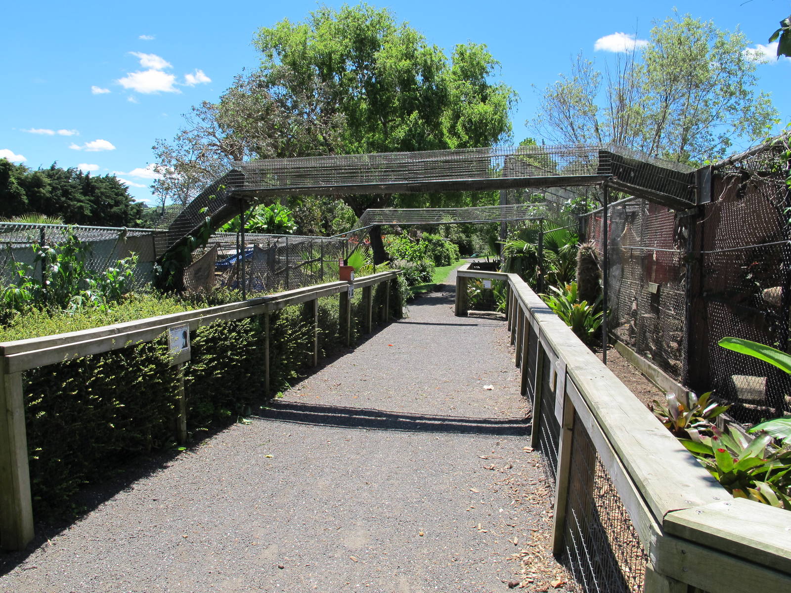 Monkey Cages - Franklin Zoo