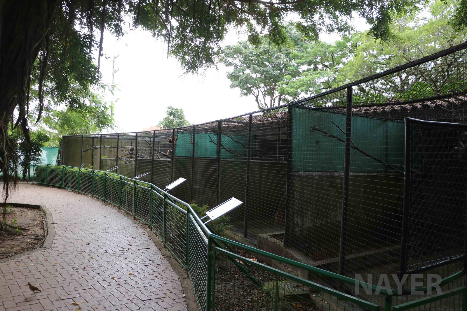 Monkey cages, March 2016