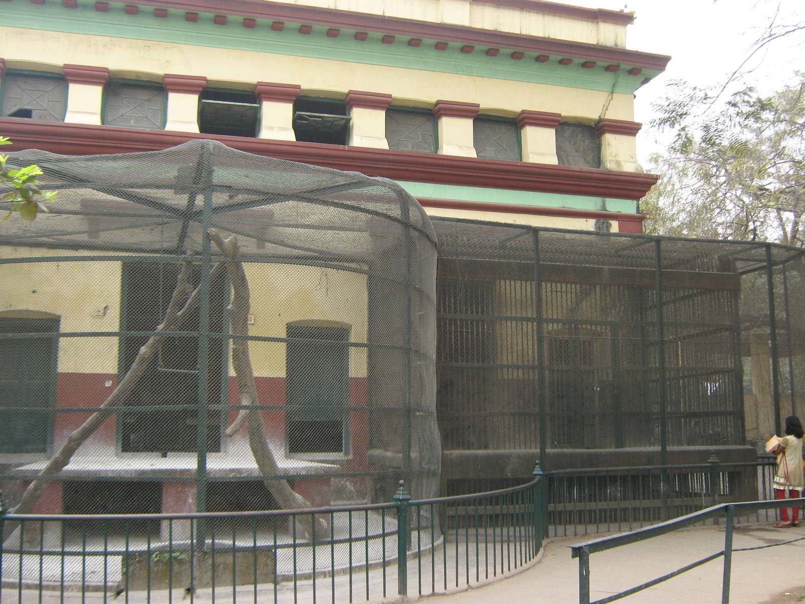 monkey cages