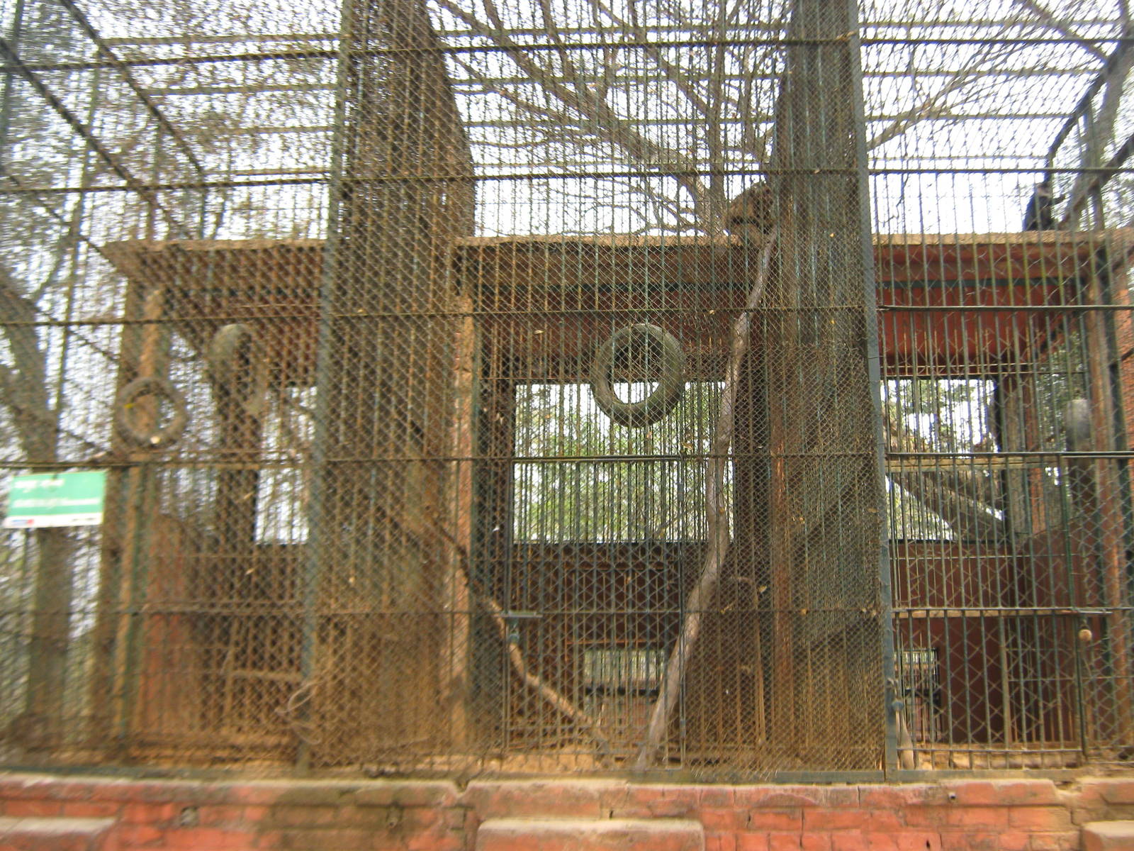 monkey cages