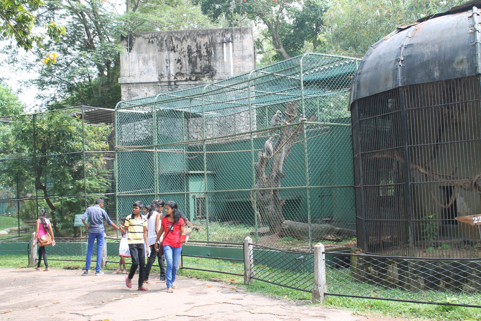 monkey cages