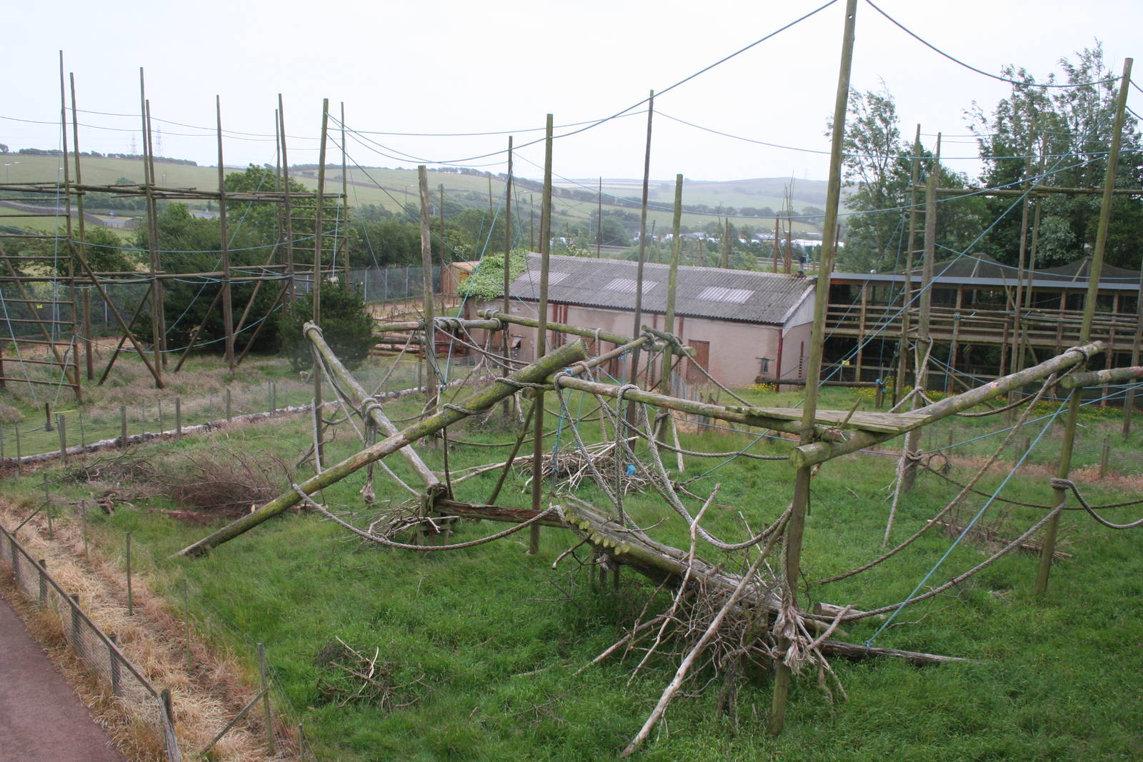 Monkey climbing frames - South lakes wild animal park 08