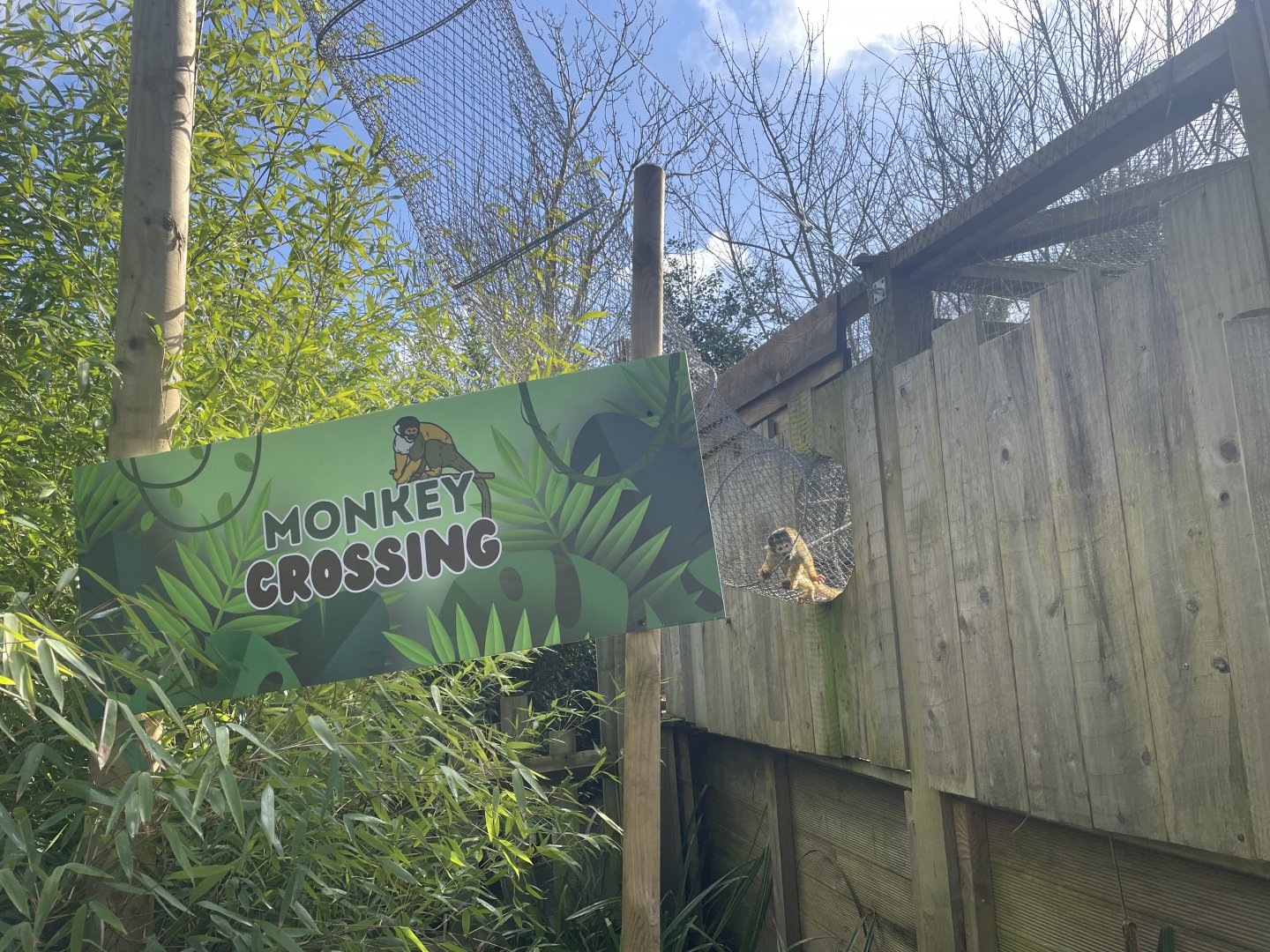 “Monkey Crossing”