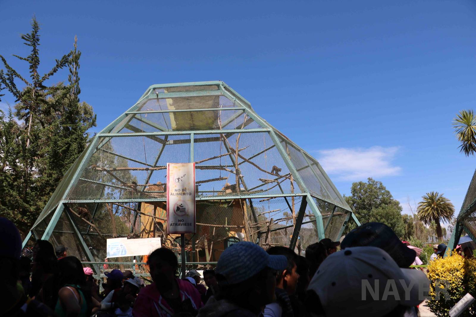 Monkey crowds, March 2016