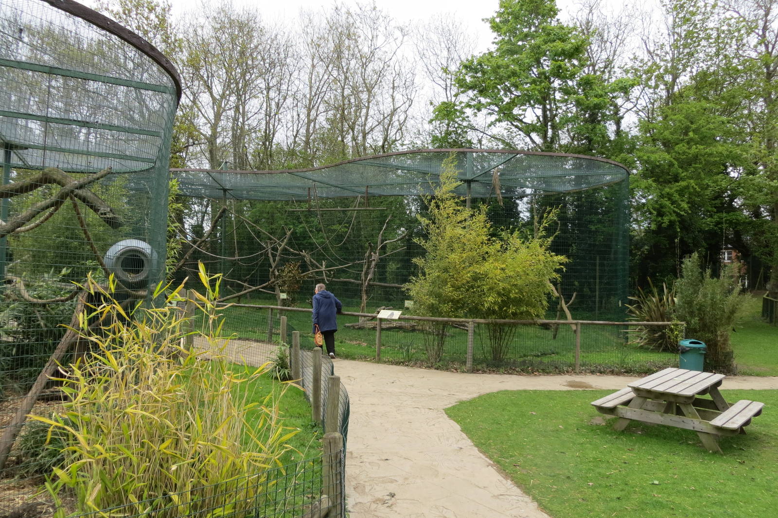 Monkey Enclosure 070515