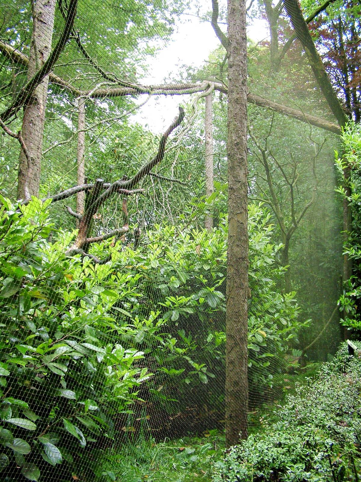 Monkey Enclosure at Wissel Zoo, Epe, 01/06/12