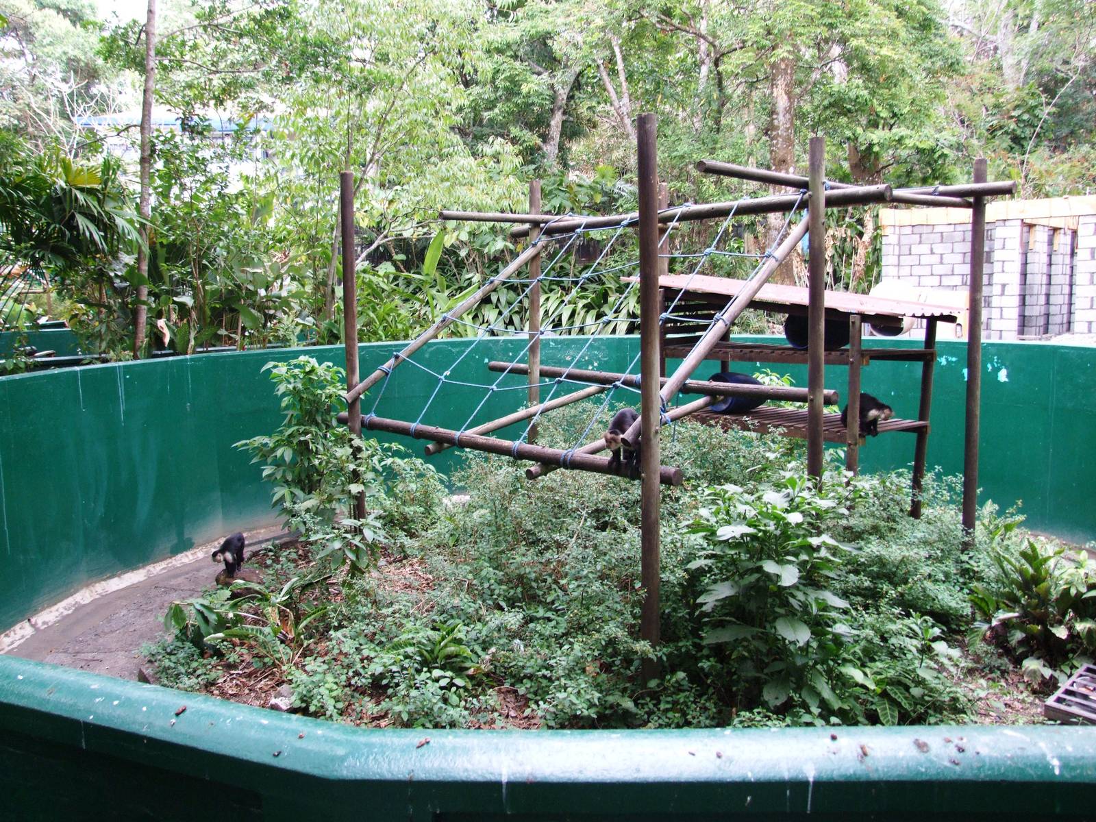 Monkey Enclosure at Zoo Simon Bolivar, 12/04/14