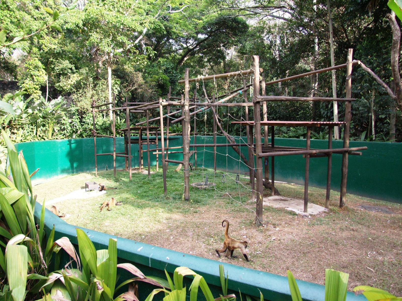 Monkey Enclosure at Zoo Simon Bolivar, 12/04/14